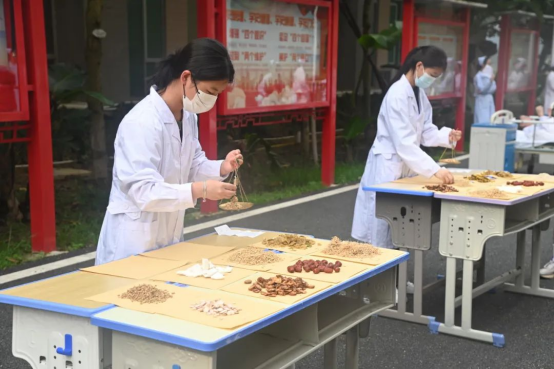 专业介绍系列 | 中药——弘扬国药·守护安康