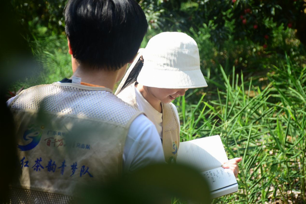广外艺学子化身“荔红使者” 助力岭南荔枝红茶香飘湾区