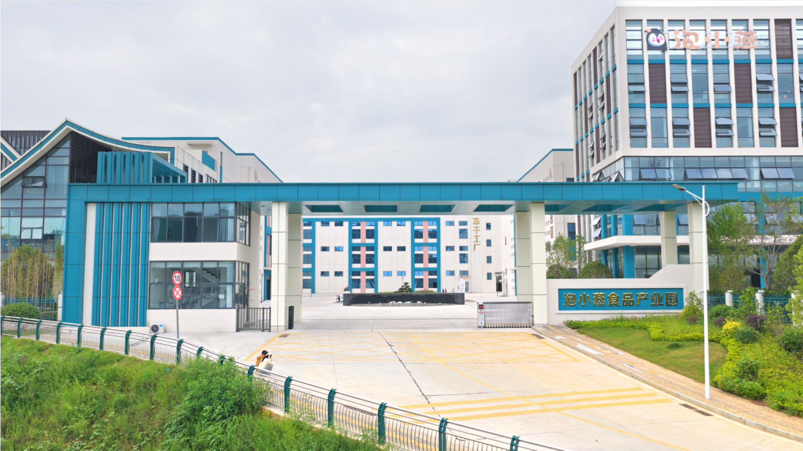 从泡小燕到“赣超冠军”:看本土品牌如何讲好新故事