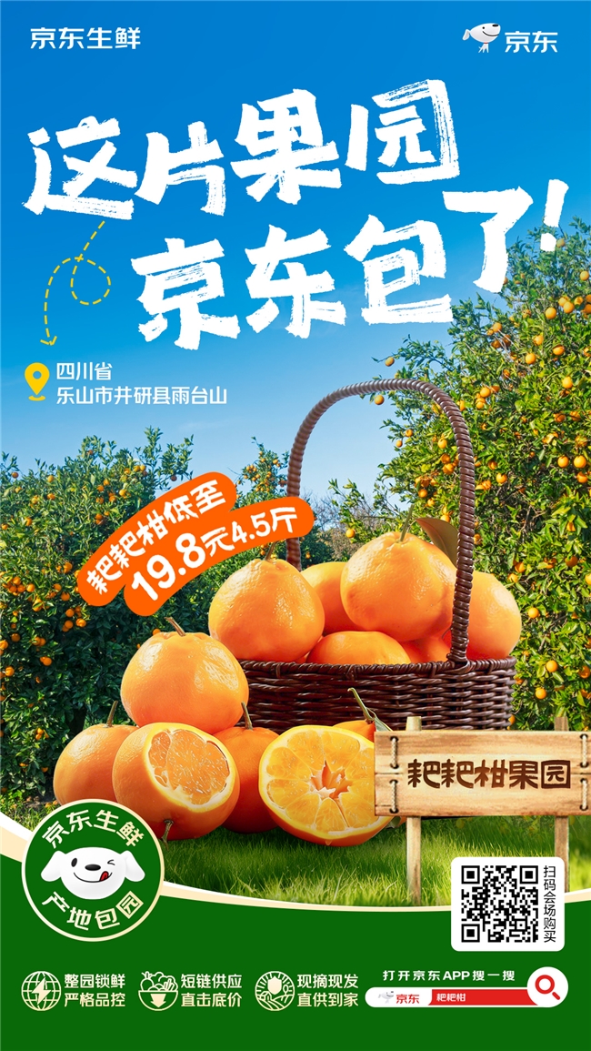 锁定今冬“柑橘顶流”！京东“包园”300万斤耙耙柑，12月20日果园直发
