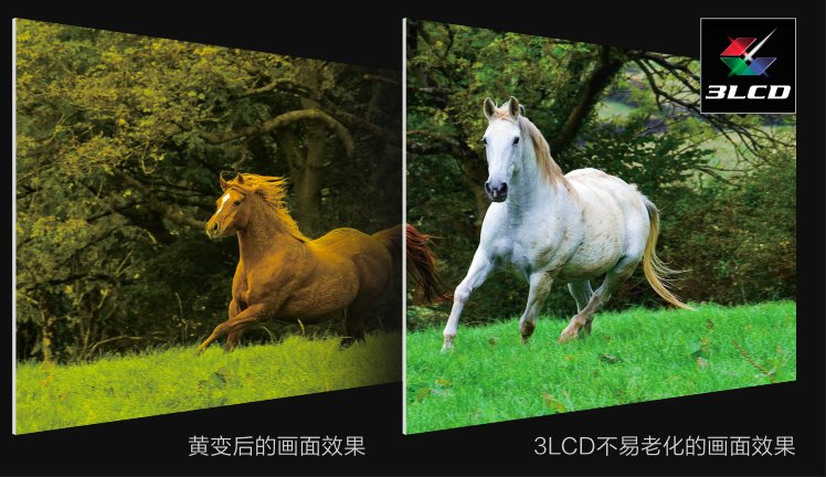 d39dc5d1bbb055f23a56a2e52e89502a