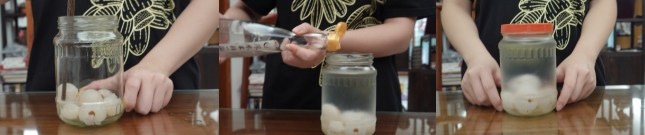 青春助力“百千万工程”北京理工大学珠海学院“兴农荔量”突击队：助“荔”兴农，“数字+文旅+青年”三链赋能荔果之乡