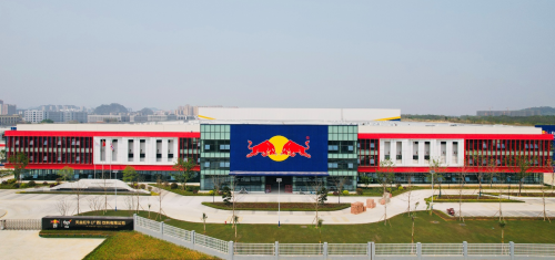 天丝集团红牛品牌亮相第八届进博会，为中泰经贸往来添动能