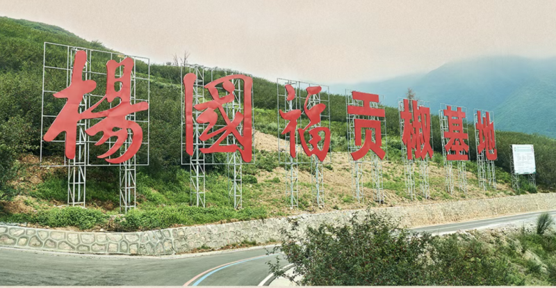 258人同场品鉴，杨国福成功挑战吉尼斯世界纪录