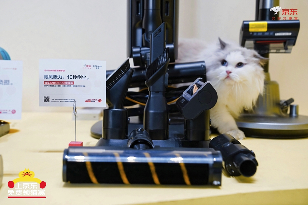 京东上线生活电器宠物专场活动，每晚8点限量领取免费“公益猫窝”