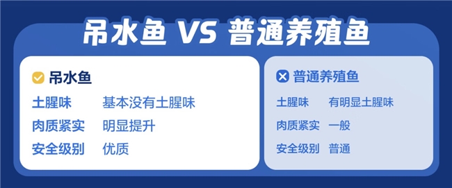 更安心、更好吃！京东七鲜吊水鱼上新，“10天吊水净化”解锁健康美味