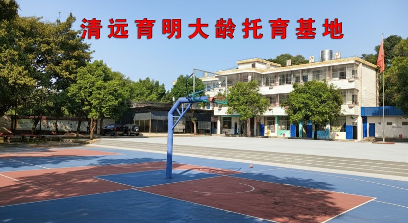 共筑产教融合新平台，共促特教事业高质量发展 ——星智成长与广东白云学院共建企业实践基地，