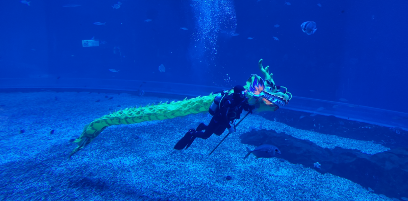 深圳国庆出游新地标！小梅沙海洋世界双园联动，开启“海与火”狂欢模式