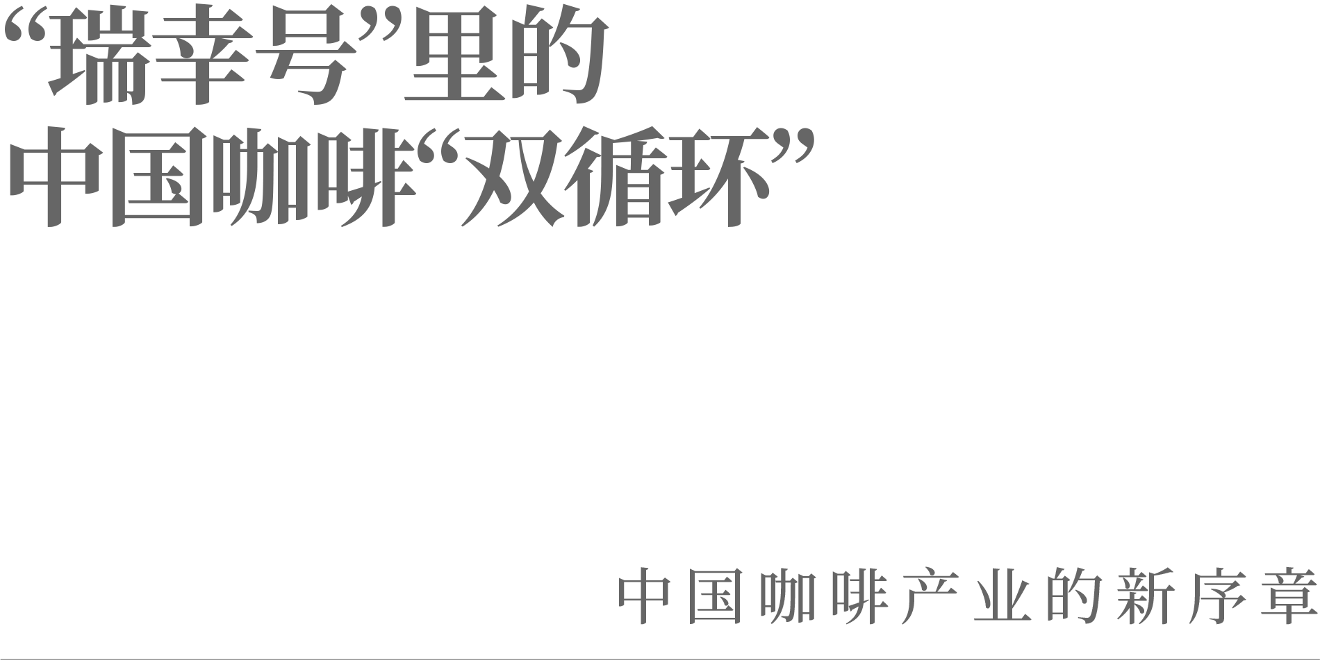“瑞幸号”里的中国咖啡“双循环”