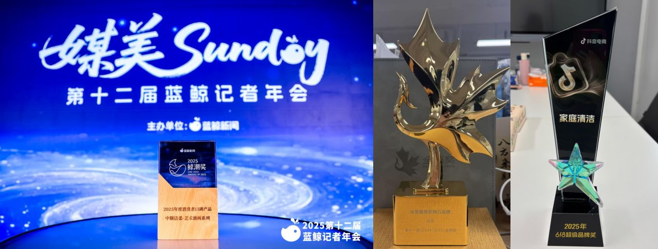 中顺洁柔2025:以“美好生活陪伴者”战略引领品牌价值建设