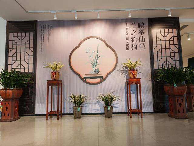 鹏举仙邑、兰之猗猗，翁源兰花展在深圳启幕