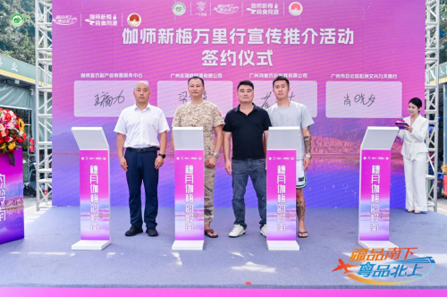 伽师新梅万里行甜蜜登陆广州，共启南国甜蜜新篇章