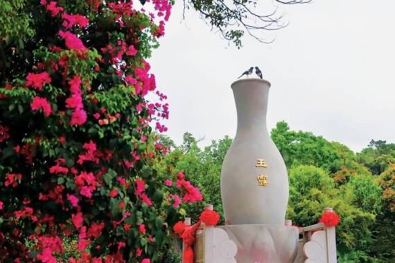 构建“大考古观”下的中华文明探源新范式——东莞观音山筹办首届中华文化万年史探源观音山研讨会