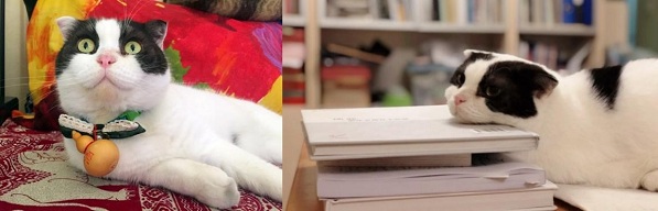 1752134591688072.jpg 3-4.jpg