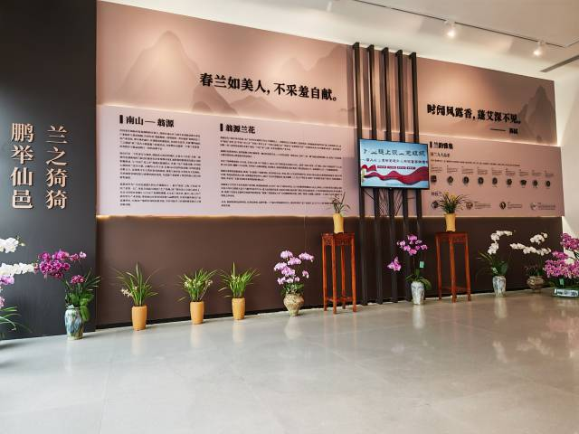 鹏举仙邑、兰之猗猗,翁源兰花展在深圳启幕