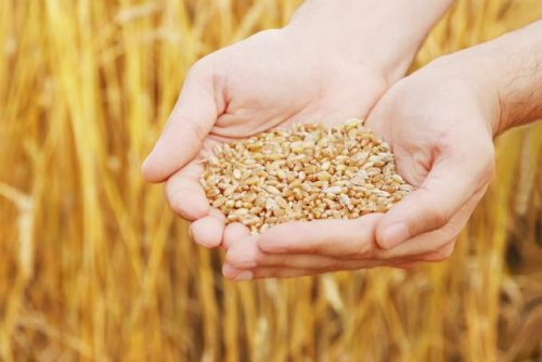 官宣!蓝带啤酒携手“世界客都·魅力梅州”群星演唱会,点燃9月音乐狂欢!