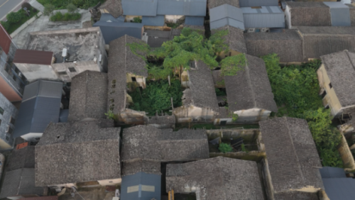 “百千万工程”突击队 | 经贸学院青耘逐梦青年突击队以青春之笔绘就乡村振兴新画卷