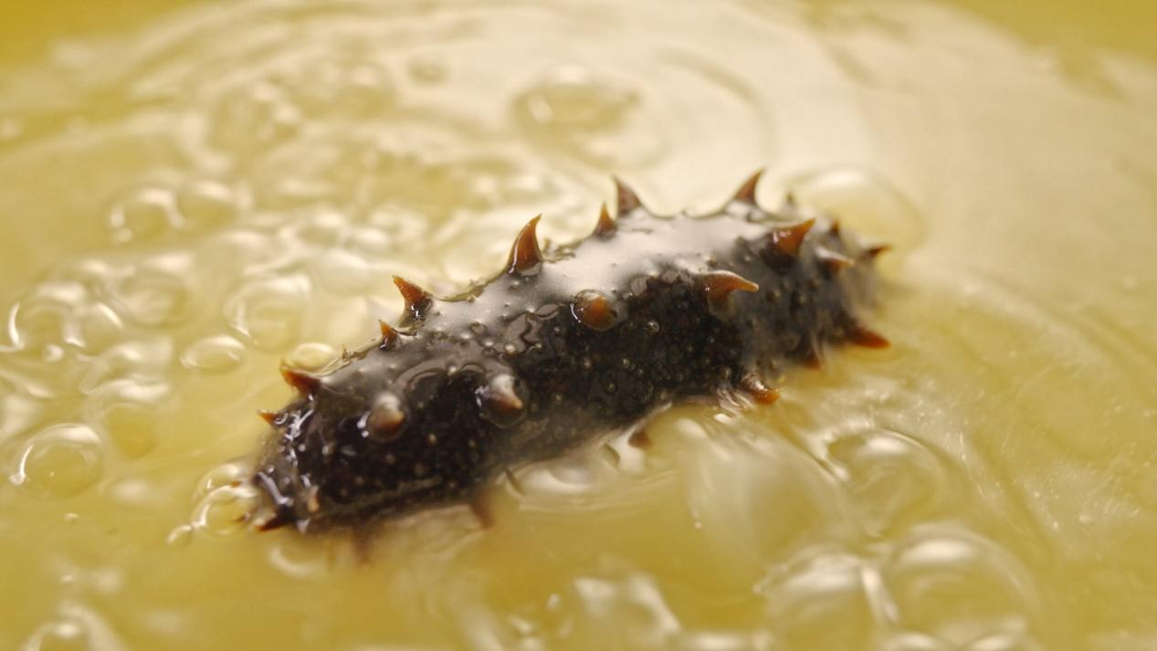 图片5.png 图片5.png