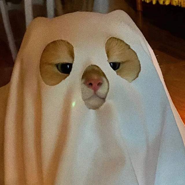 广东人点解成日“鬼话”连篇？