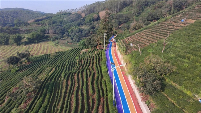 暨南大学“声浪”突击队:用新传力量赋能湖镇振兴的“三重奏”