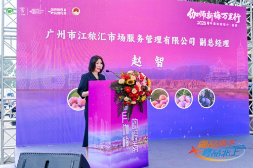 伽师新梅万里行甜蜜登陆广州,共启南国甜蜜新篇章