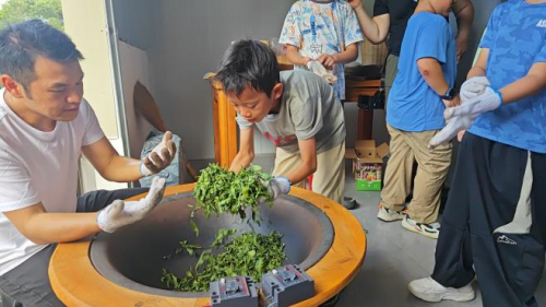 南岭国家公园候选区罗坑片区自然科普活动圆满落幕,生态与非遗共绘和谐发展新图景