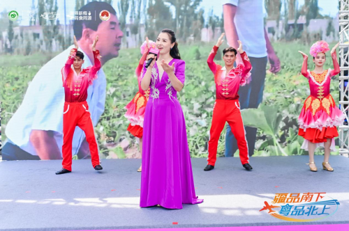 伽师新梅万里行甜蜜登陆广州,共启南国甜蜜新篇章