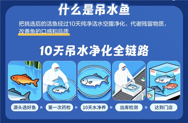 更安心、更好吃!京东七鲜吊水鱼上新,“10天吊水净化”解锁健康美味
