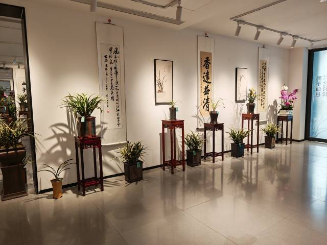 鹏举仙邑、兰之猗猗,翁源兰花展在深圳启幕