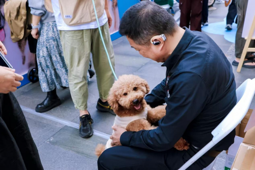 名创优品联合它基金发起“小流浪变身搜救犬”科学救助公益项目