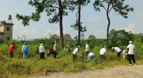 “百千万工程”突击队 | 经贸学院青耘逐梦青年突击队以青春之笔绘就乡村振兴新画卷