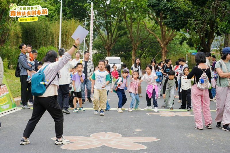 当森林变成‘剧本场’!这场徒步盛会,藏着绿美广东的新诗意