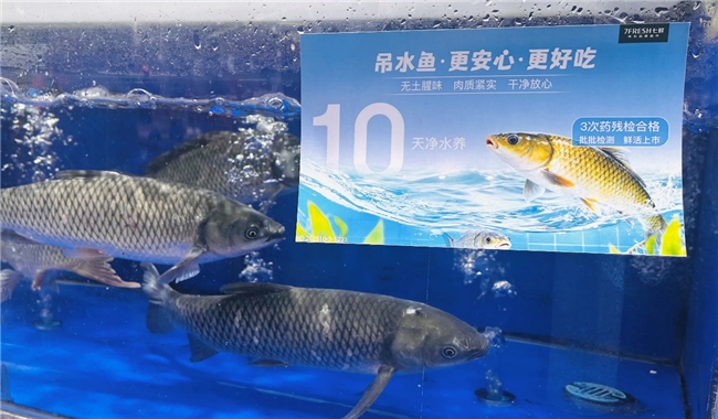 24小时菜、吊水鱼、好吃水果榜......京东七鲜11.11引领品质消费新风尚