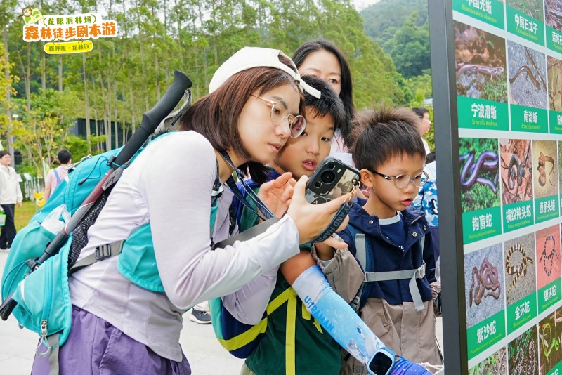 当森林变成‘剧本场’!这场徒步盛会,藏着绿美广东的新诗意