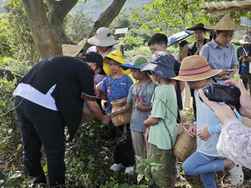 南岭国家公园候选区罗坑片区自然科普活动圆满落幕,生态与非遗共绘和谐发展新图景