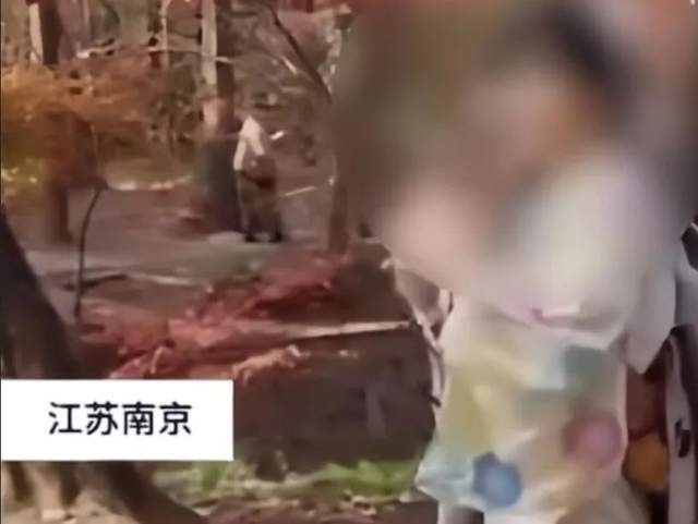 这里曾是日军屠杀地，如今成“日系打卡圣地”？