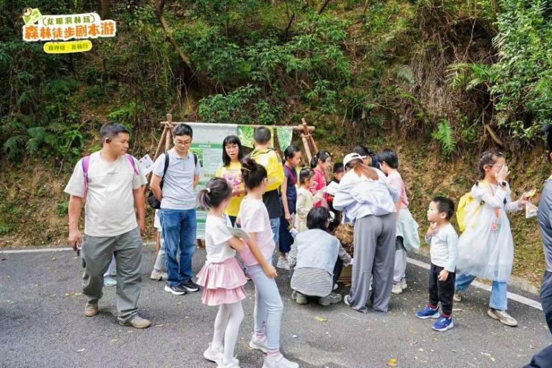 当森林变成‘剧本场’!这场徒步盛会,藏着绿美广东的新诗意