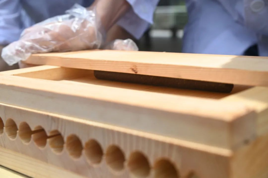 专业介绍系列 | 中药——弘扬国药·守护安康