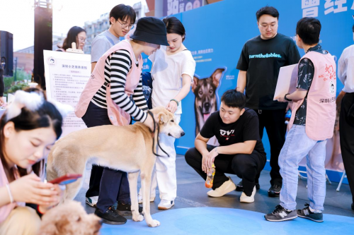 名创优品联合它基金发起“小流浪变身搜救犬”科学救助公益项目