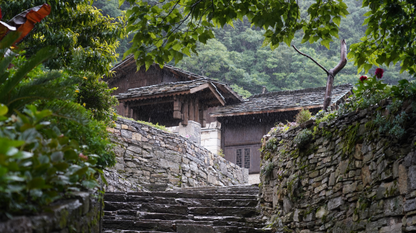 穗安协作赋能安顺农文旅发展——平台企业助力特色乡村新图