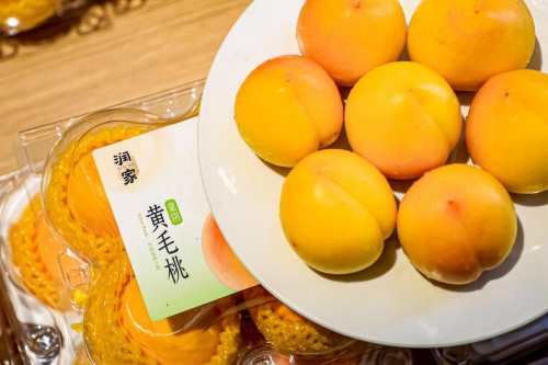 金秋助农启新篇!广东省2025年消费帮扶行动启动,华润万家“焕乡行动”品牌正式发布