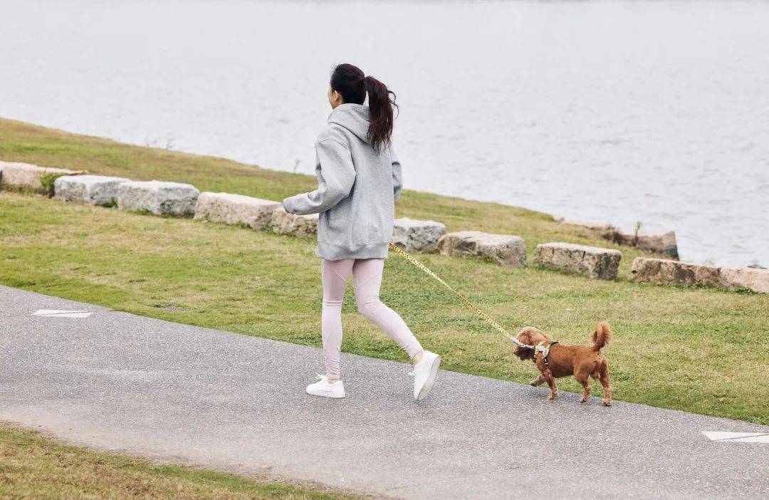 点击查看原始图片