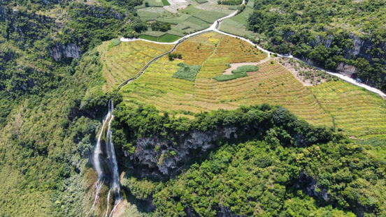 【粤黔协作】助力安顺乡村农文旅融合发展系列报道之四  关岭县马马崖村：“花经济+桥元素”  激活乡村文旅新动能