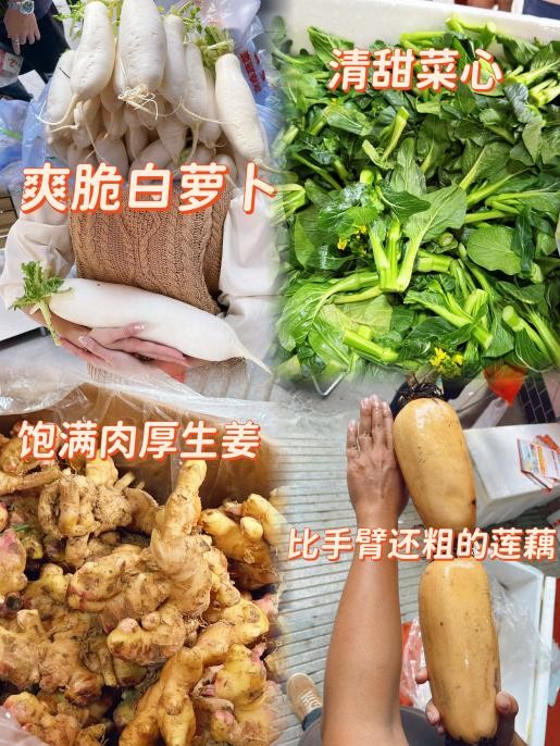 盘福智慧新街市11月3日盛大开业，多重福利点亮市民“菜篮子”