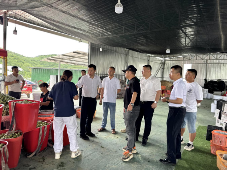 粤黔协作工作队赴平坝调研东西部协作项目