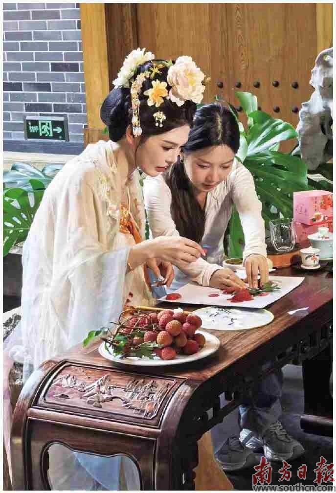 南方公益联合YY直播探访“荔枝之乡”