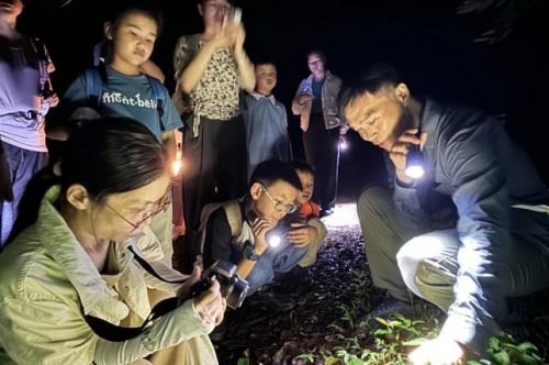 南岭国家公园候选区罗坑片区自然科普活动圆满落幕,生态与非遗共绘和谐发展新图景