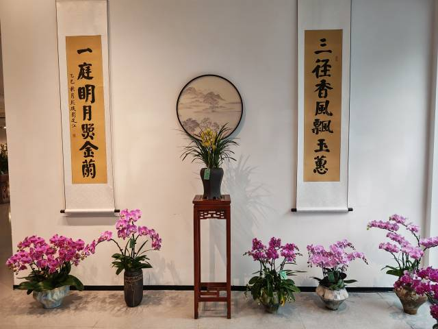 鹏举仙邑、兰之猗猗,翁源兰花展在深圳启幕