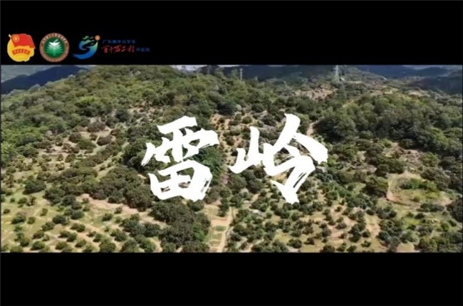 青春助力“百千万工程”北京理工大学珠海学院“兴农荔量”突击队:助“荔”兴农,“数字+文旅+青年”三链赋能荔果之乡