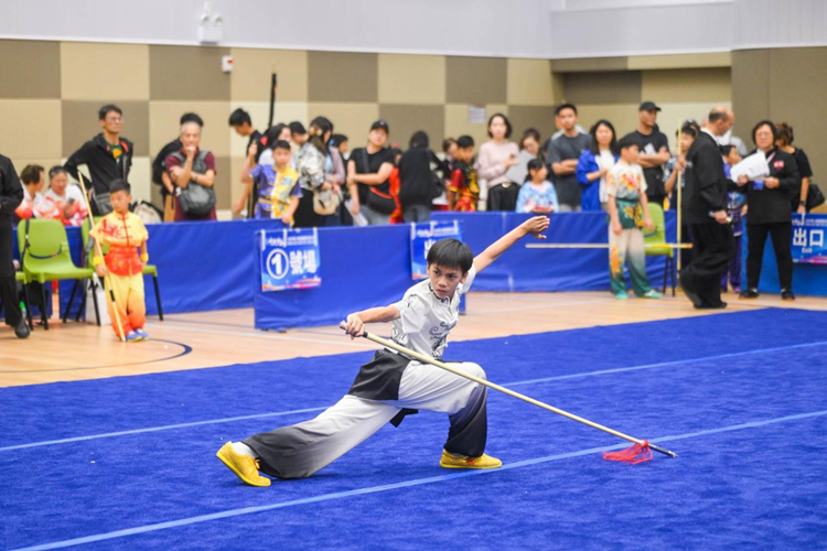 “中武传承”香港国际武术大赛 “体育+文化”融合发展,武术赛事新名片